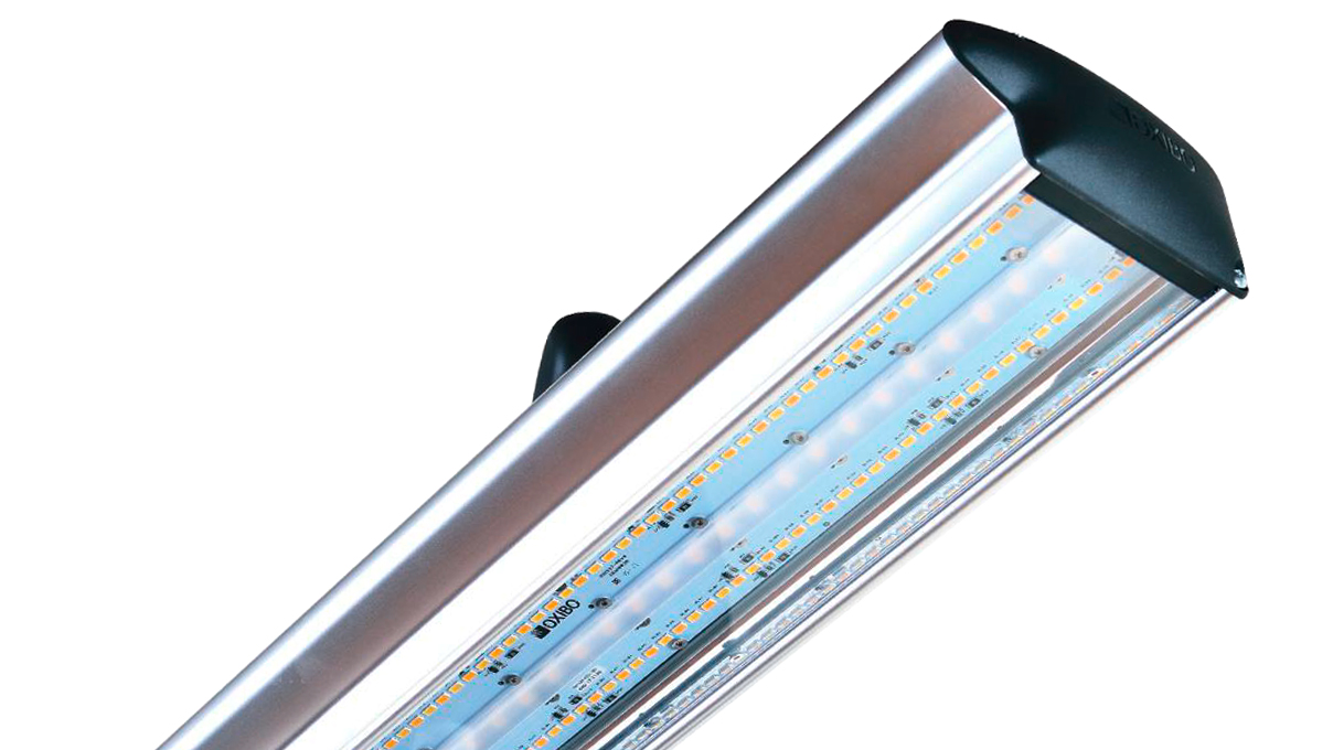 Veritas VL-30.BT Arbeitsplatzleuchte für Goldschmiede und Gemologen, Ideale Lichtkombination durch
drei unabhängig kombinierbare Farbtemperaturen (6.000, 4.000, 3.000 K), inkl. Klemmsockel OX210