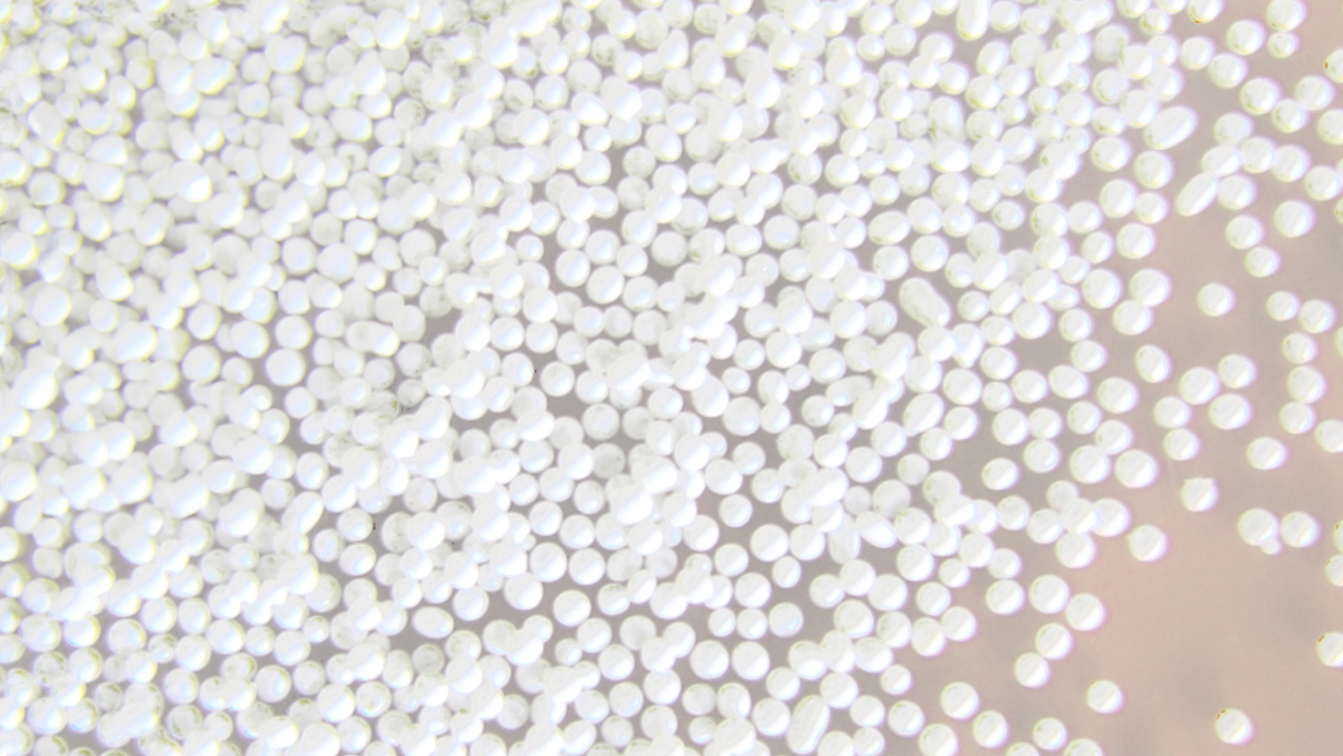 Strahlmittel MSZ 500 B, Körnung 30 - 70 µm, 5 kg