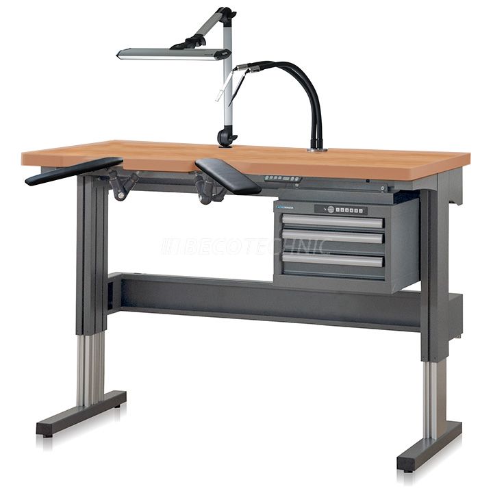 Ergolift Industry Plus