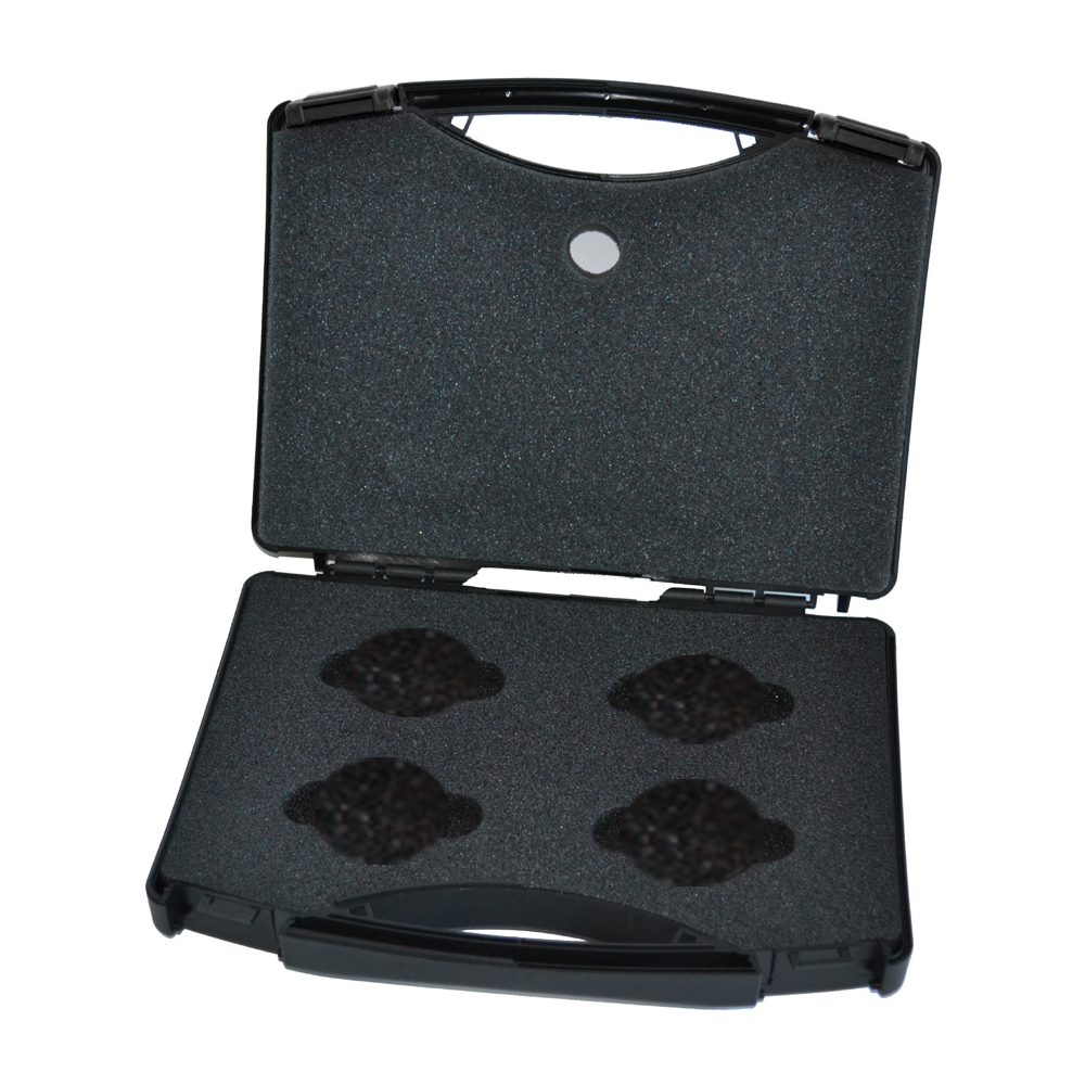 Witschi Koffer für Referenzlecks 42.4010