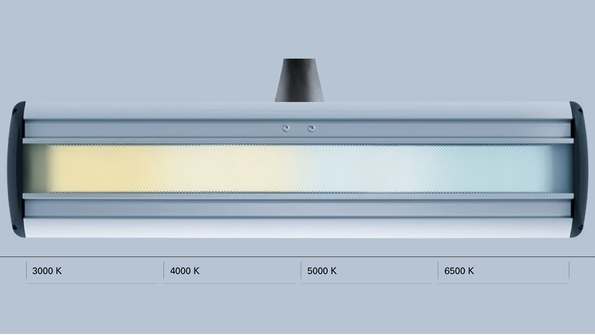 Taneo Tunable White