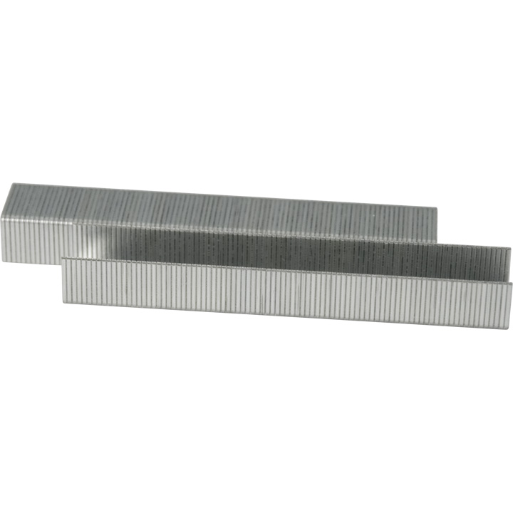 Reptile N° 37 Feindrahtklammern, Länge 6 mm, 5000 Stück