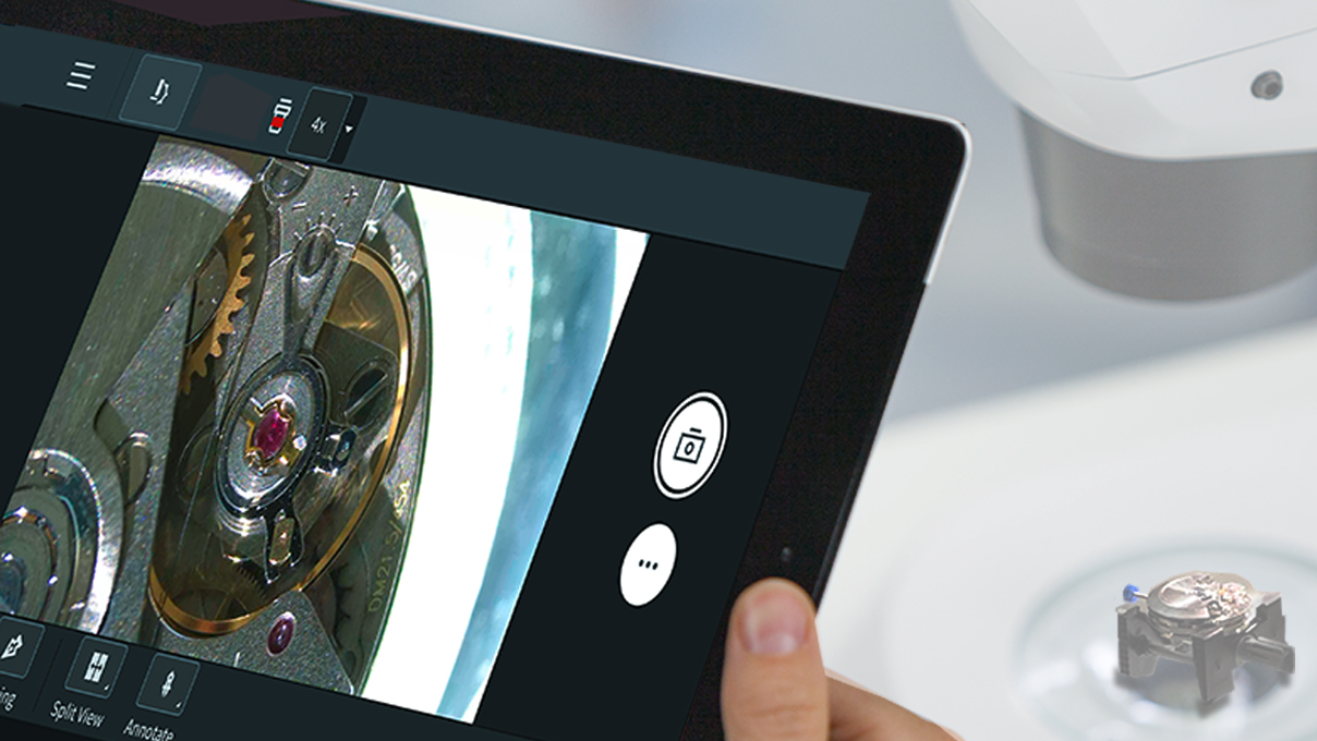 Zeiss Labscope für Windows, Software für Digitale Mikroskopie zum Einsatz in der digitalen Ausbildung
oder zur Dokumentation von Objektzuständen